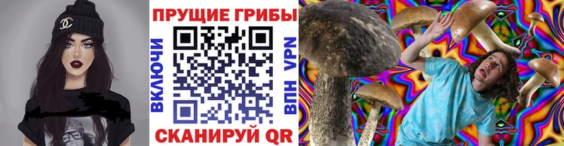 Галлюциногенные грибы мицелий  сколько стоит  Корсаков 